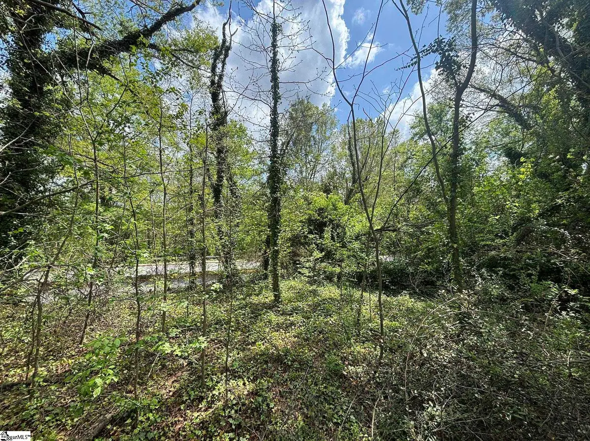 00 Ansel Street, Spartanburg, SC 29306 - #1