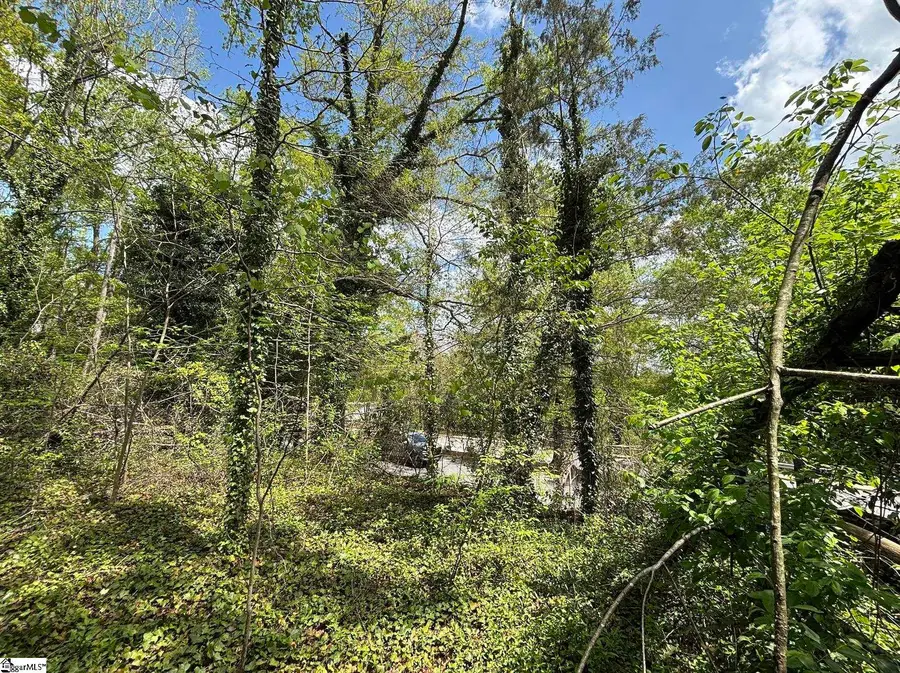 00 Ansel Street, Spartanburg, SC 29306 - #2