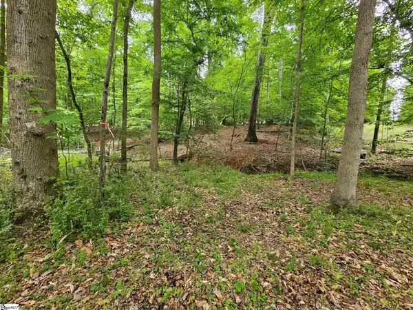 226 S Kings Drive, Fountain Inn, SC 29644