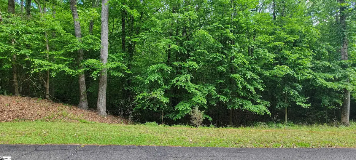 00 Camellia Street, Westminster, SC 29693 - #1