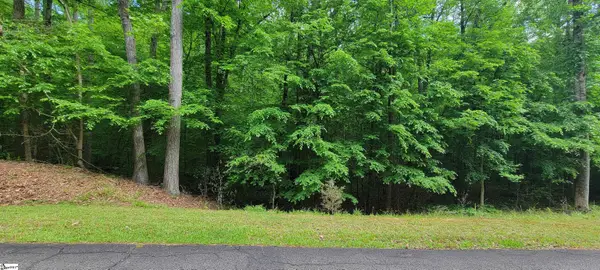 00 Camellia Street, Westminster, SC 29693