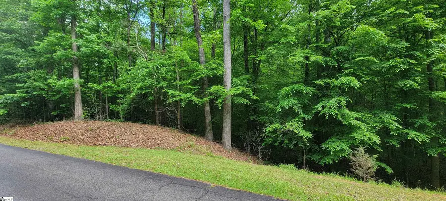 00 Camellia Street, Westminster, SC 29693 - #3