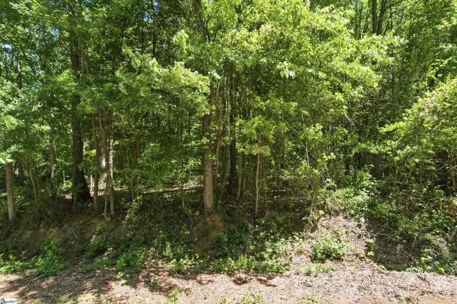 0 Perry Road, Greer, SC 29651 - #3