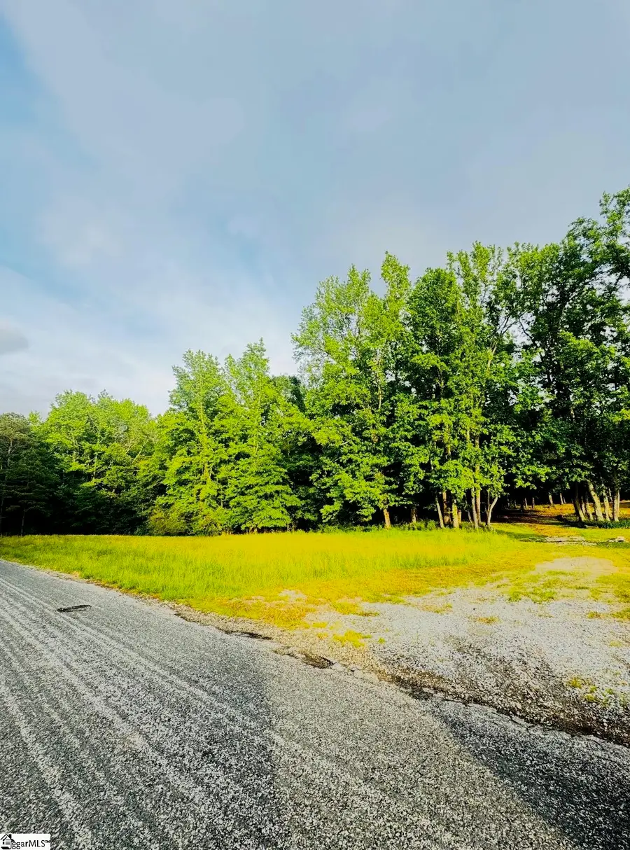 0000 Thompson Road, Fountain Inn, SC 29644 - #3