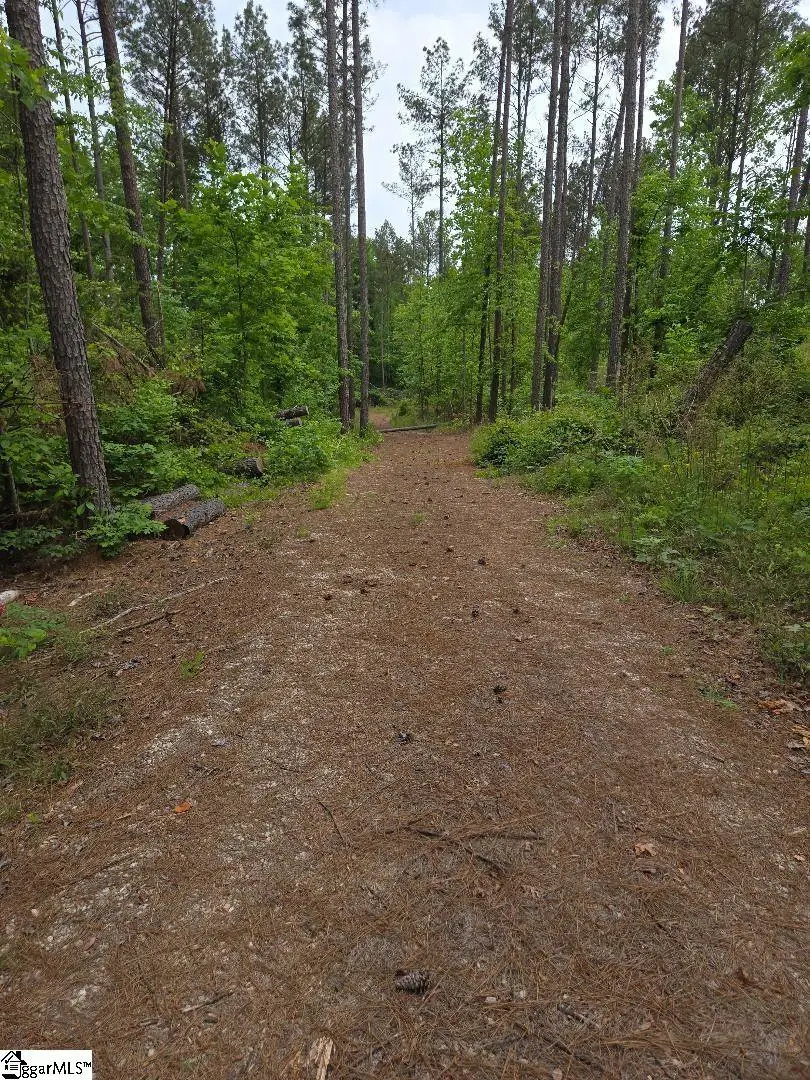 516 Franklin Finley Road, Easley, SC 29640 - #2