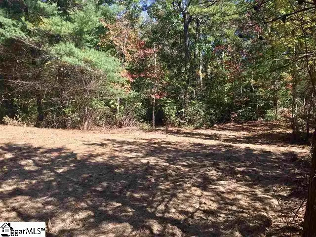 9 Laurel Cove Lane, Travelers Rest, SC 29690 - #1