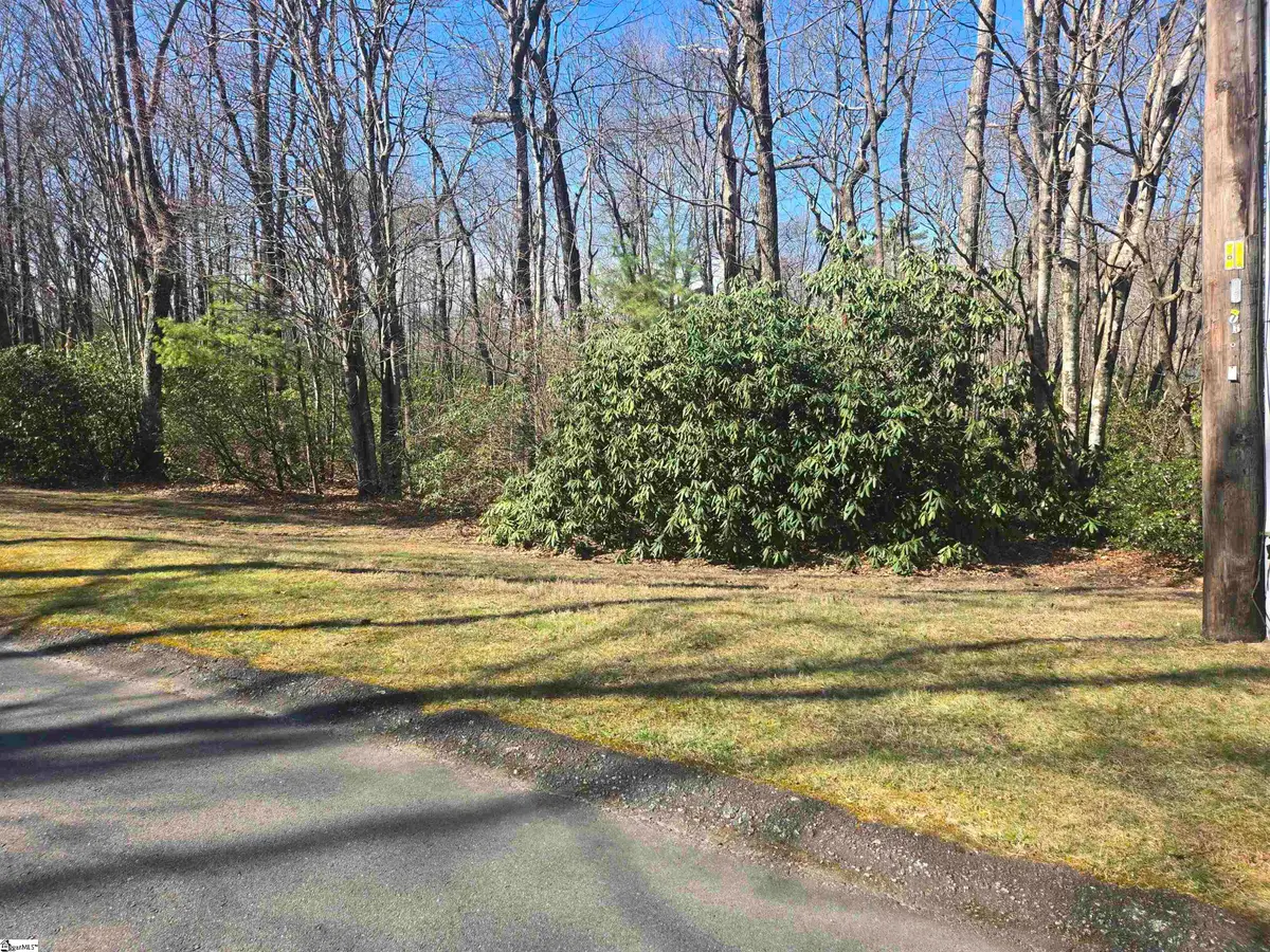 319 Cliff Ridge Drive, Cleveland, SC 29635 - #1