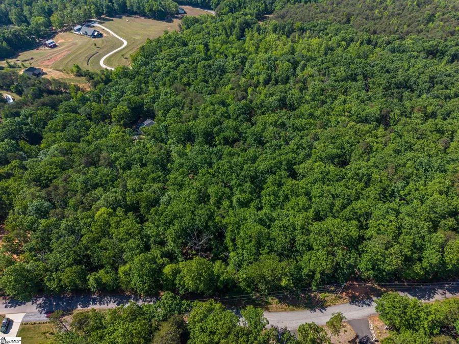 611 Packs Mountain Ridge Road, Taylors, SC 29687 - #3