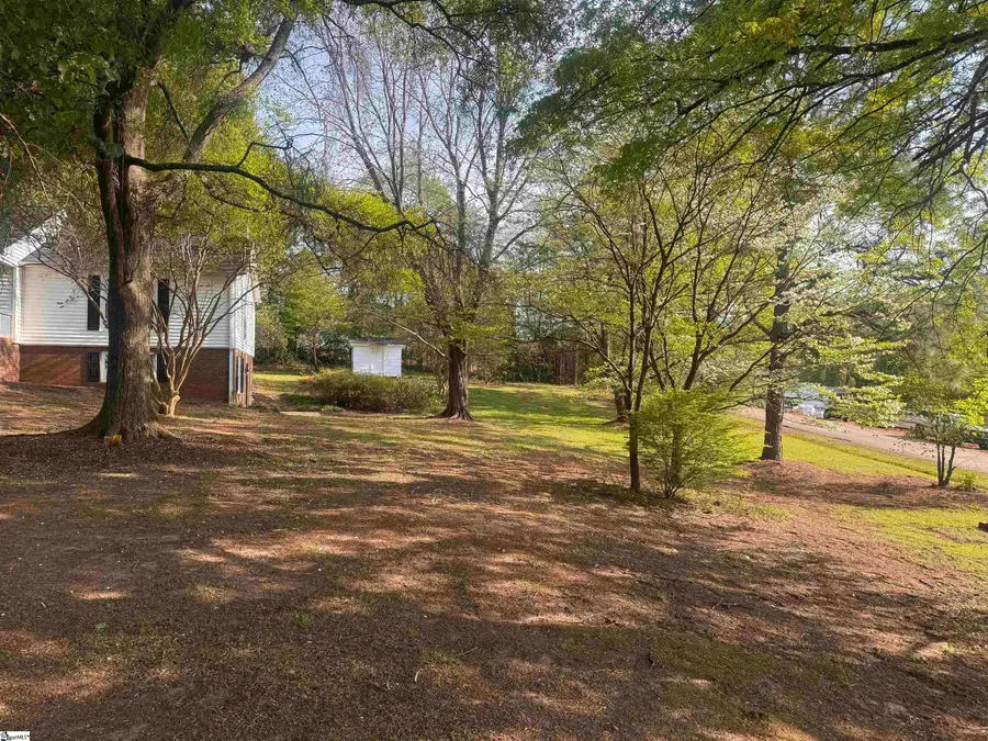 385 Wall Street, Campobello, SC 29322 - #3