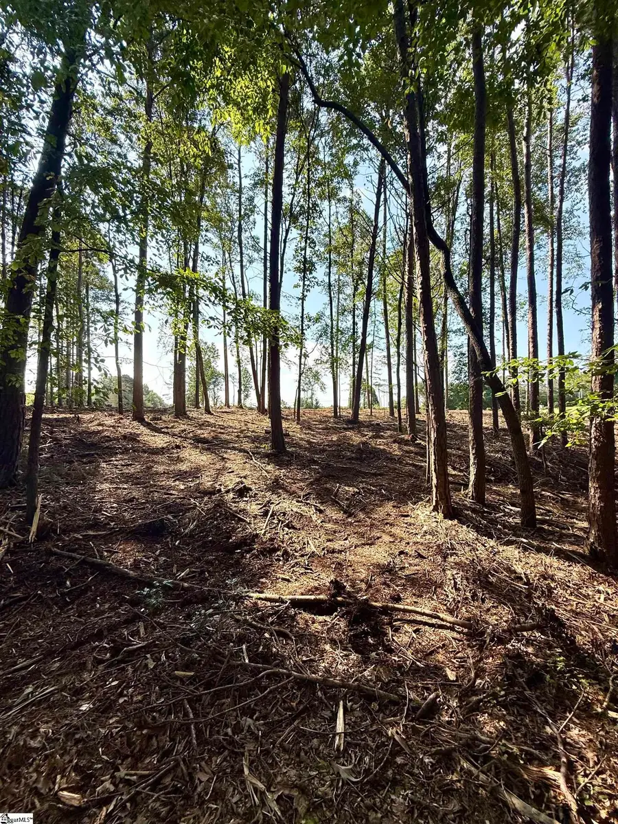 0 Thompson Road #Lot 3, Greer, SC 29651 - #3