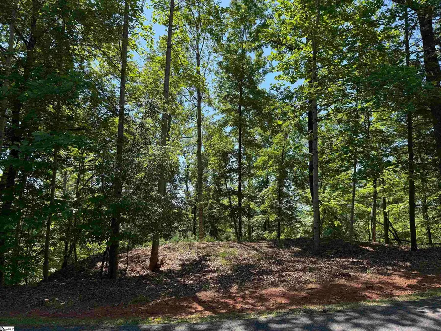 126 Summit Pine, Sunset, SC 29685 - #2