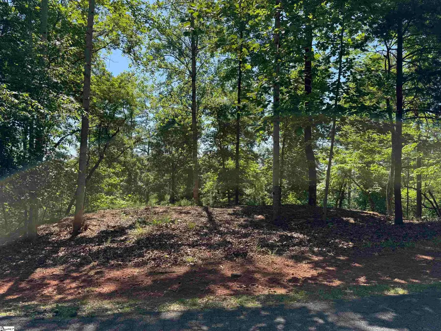 126 Summit Pine, Sunset, SC 29685 - #3