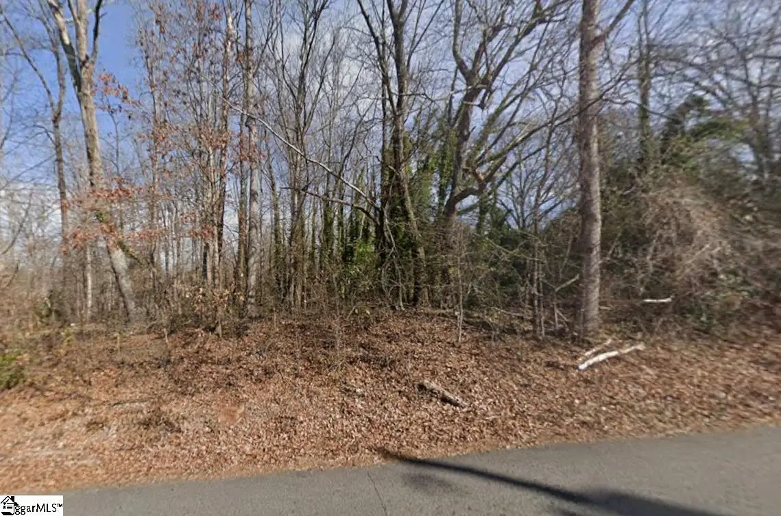 0 Vinson Drive, Greenville, SC 29617-2042 - #1