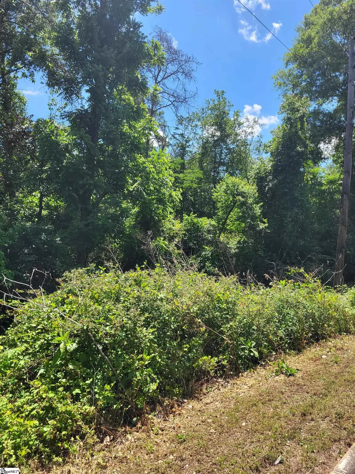 160 Lincoln Road, Taylors, SC 29687 - #1