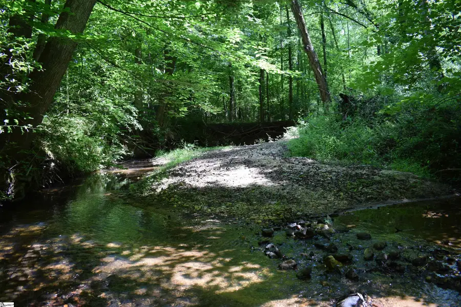 Floyd Blackwell Road, Green Creek, NC 28722 - #2