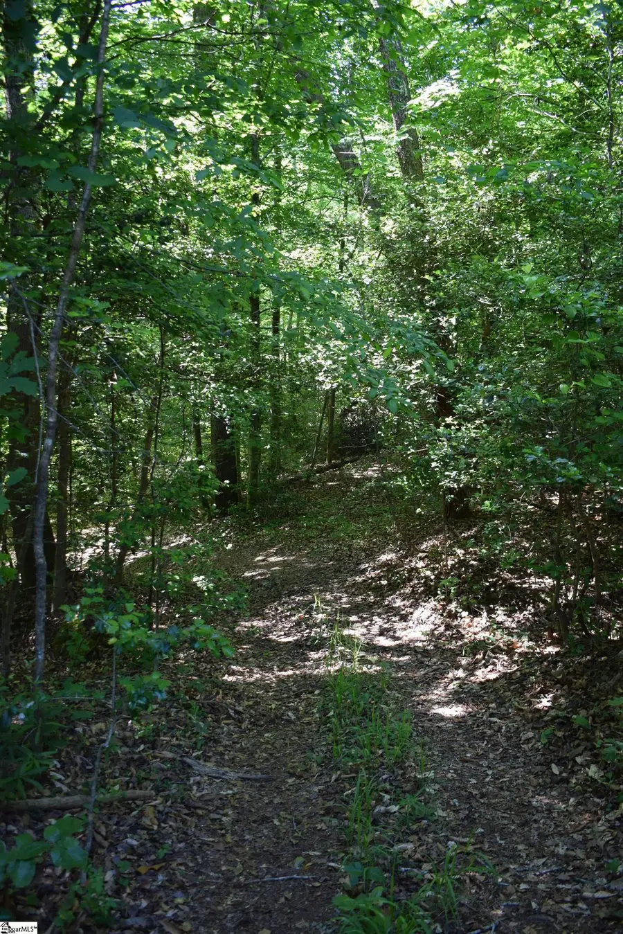 Floyd Blackwell Road, Green Creek, NC 28722 - #3