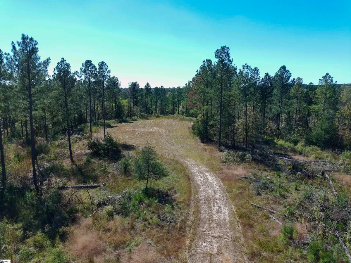 0 Fields Road, Pauline, SC 29374 - #1