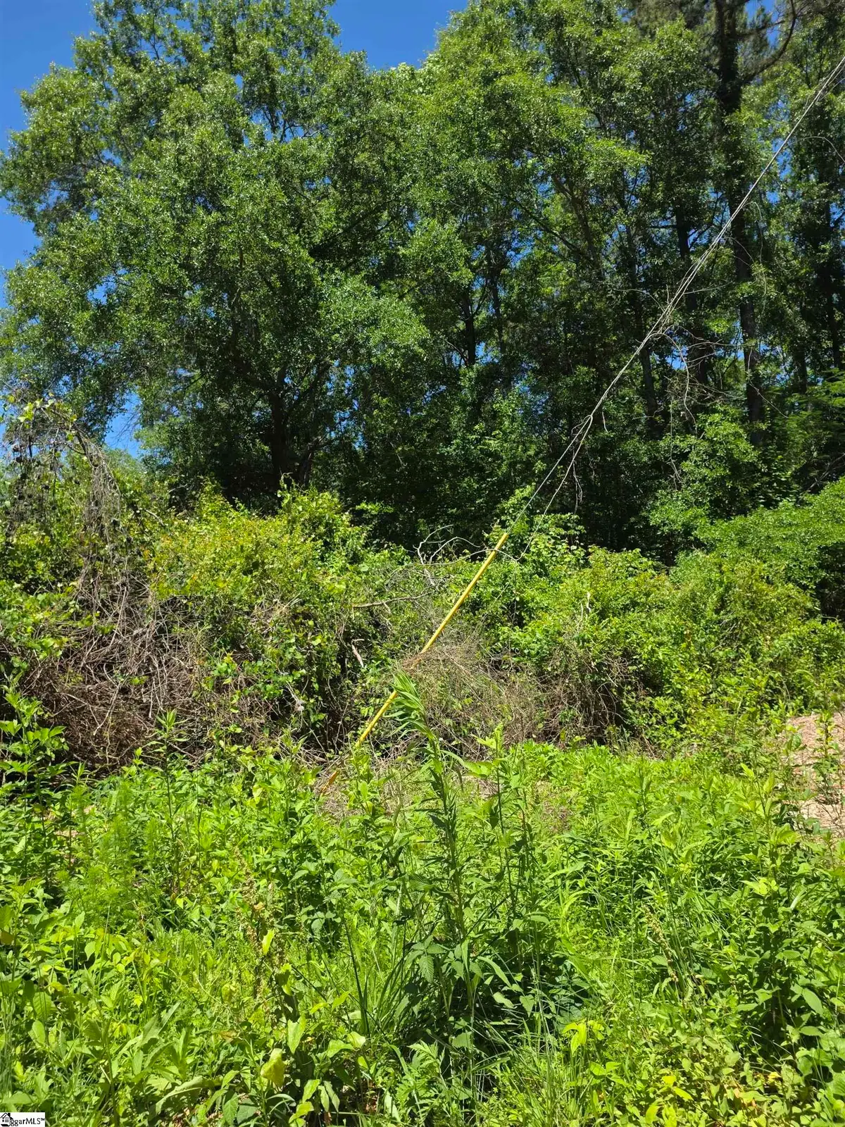 Tree Top Lane, Easley, SC 29642 - #1