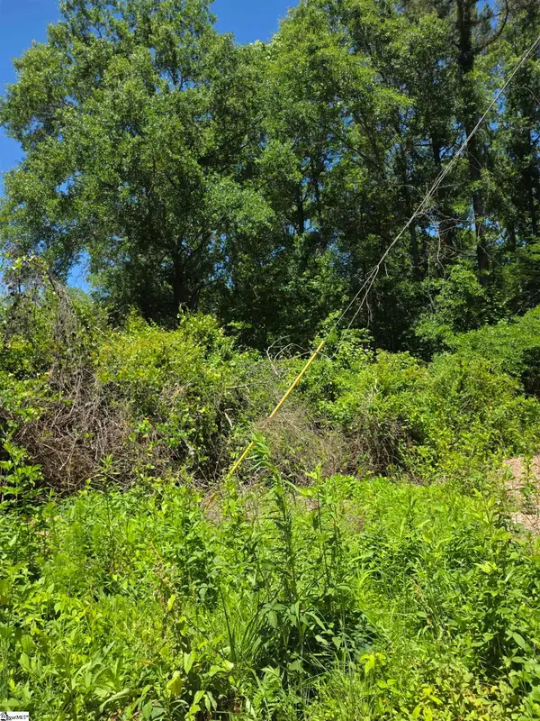 Tree Top Lane, Easley, SC 29642