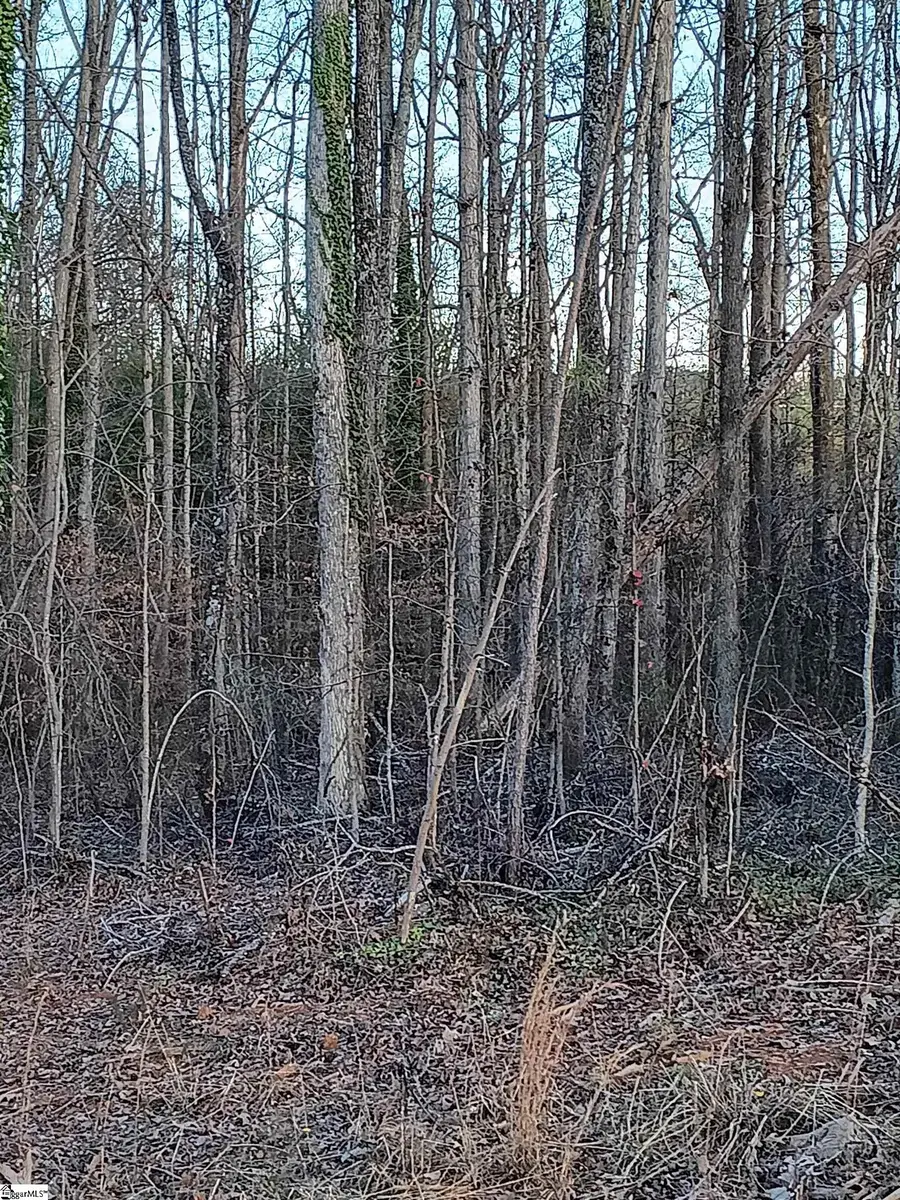 537 Harvest Valley Circle, Spartanburg, SC 29303 - #3