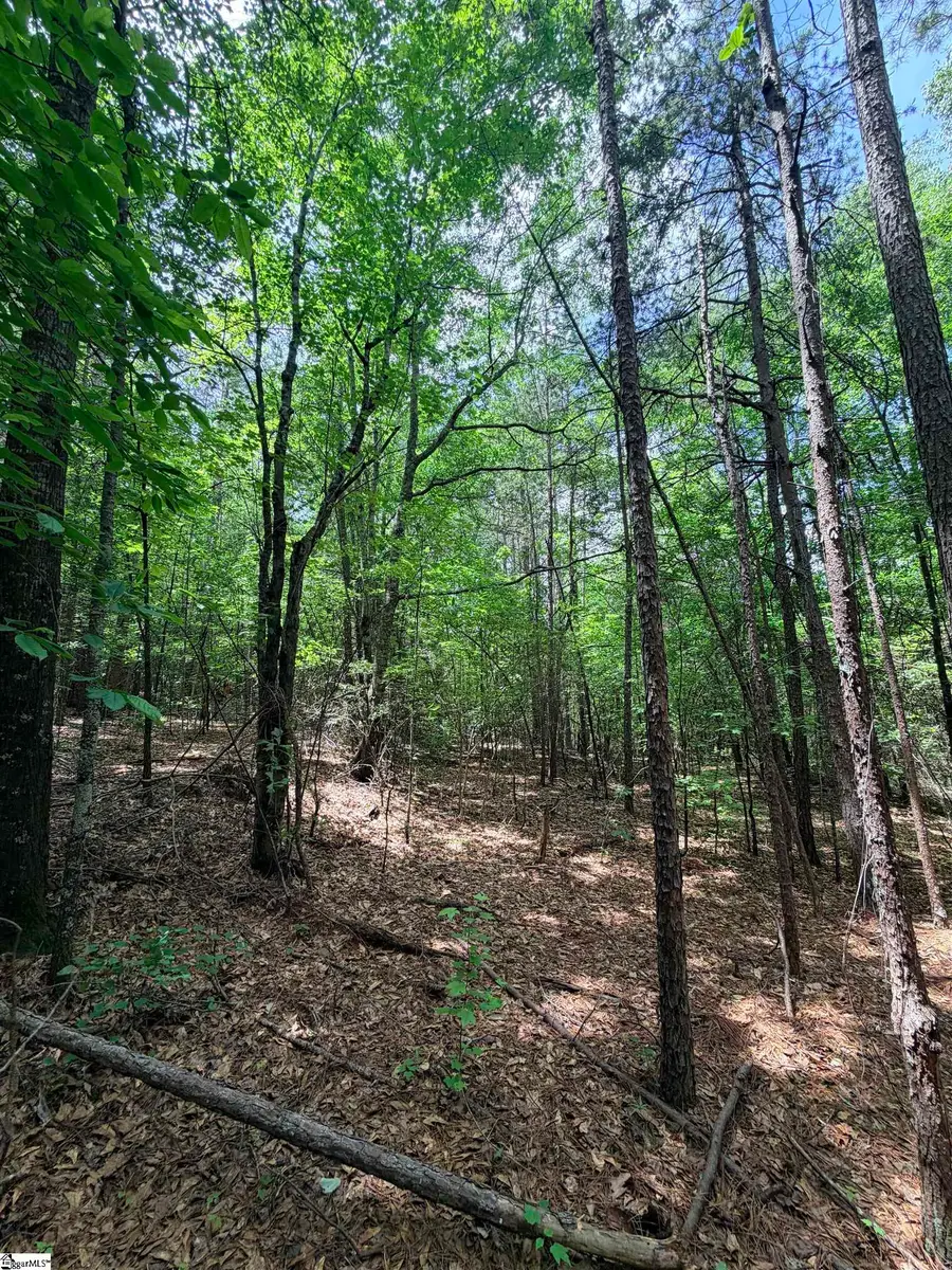 280 Sparks Lane, Pickens, SC 29671 - #3