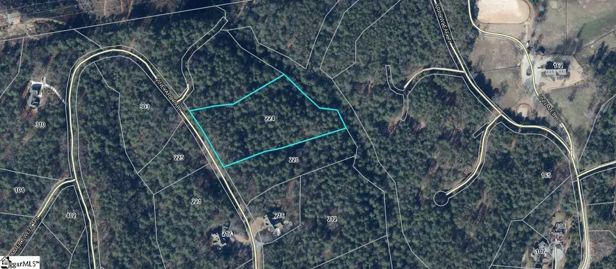 224 Vineyard Park, Sunset, SC 29685 - #1