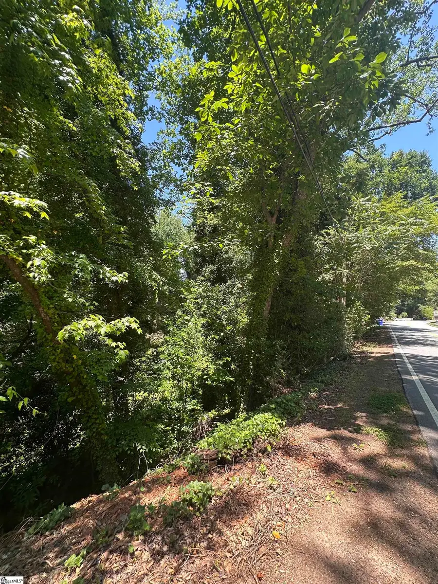 Chick Springs Road, Greenville, SC 29609 - #3