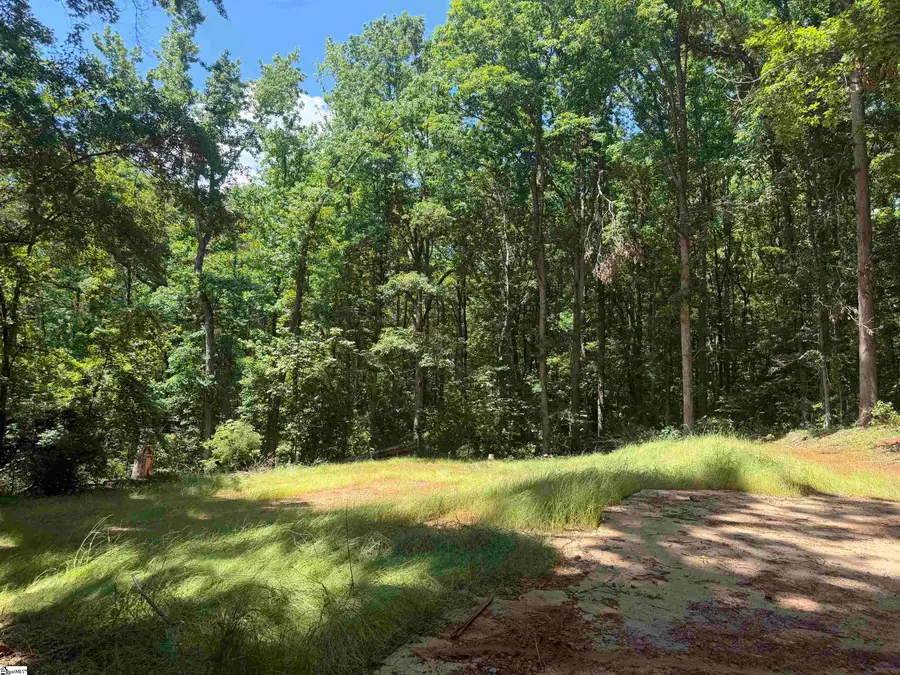 321 Grace Lane, Piedmont, SC 29673 - #2