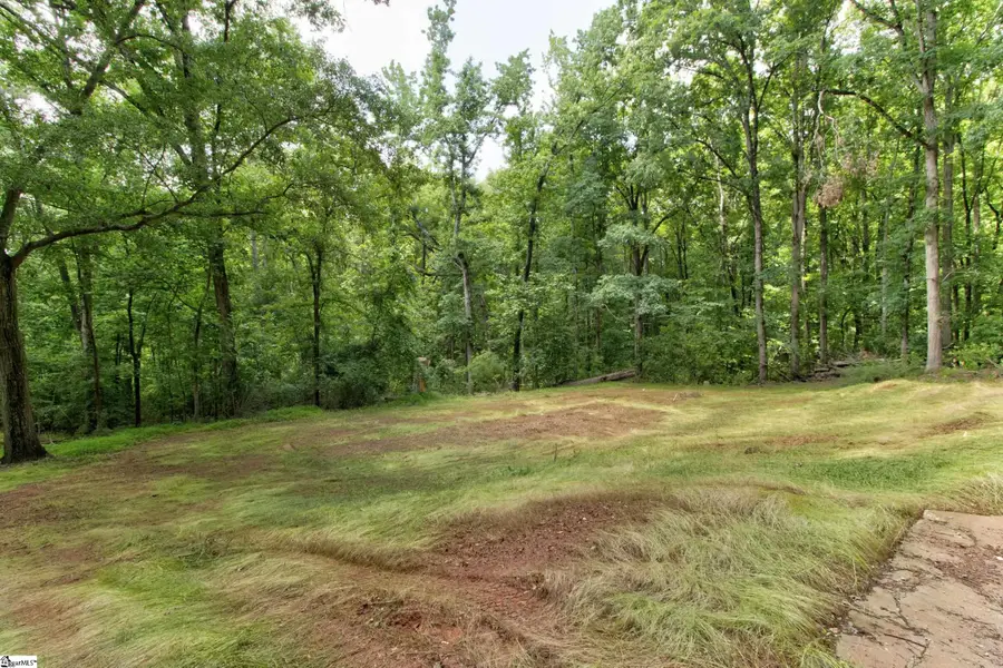 Lot 10 Grace Lane, Piedmont, SC 29673 - #2