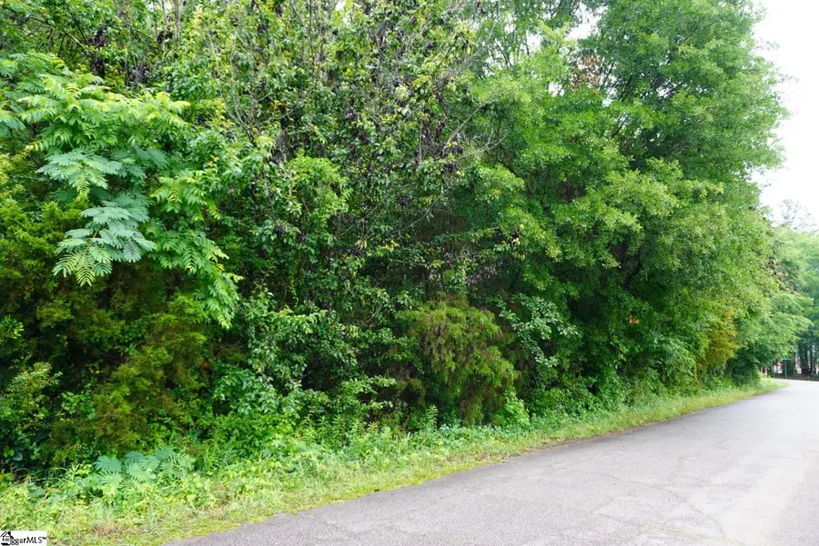 175 Stewart Lake Road, Pelzer, SC 29669 - #3
