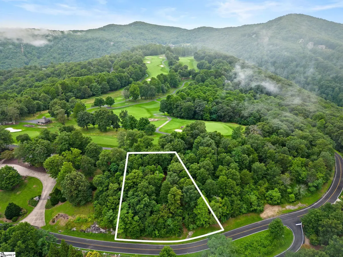 223 May Apple Way, Landrum, SC 29356 - #1
