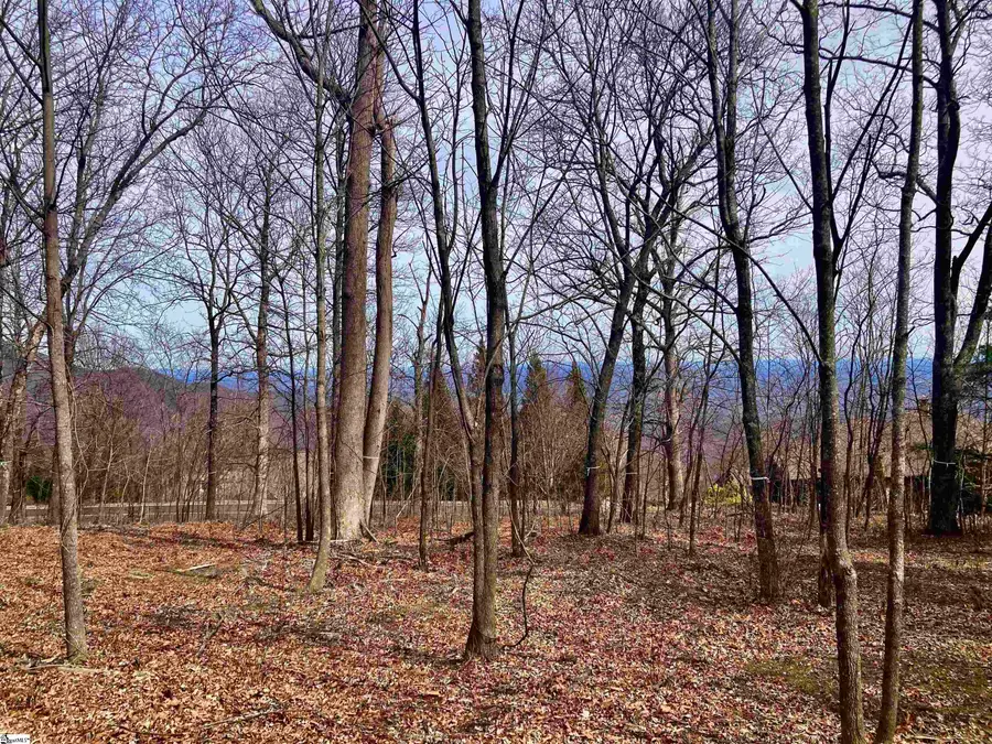 223 May Apple Way, Landrum, SC 29356 - #3