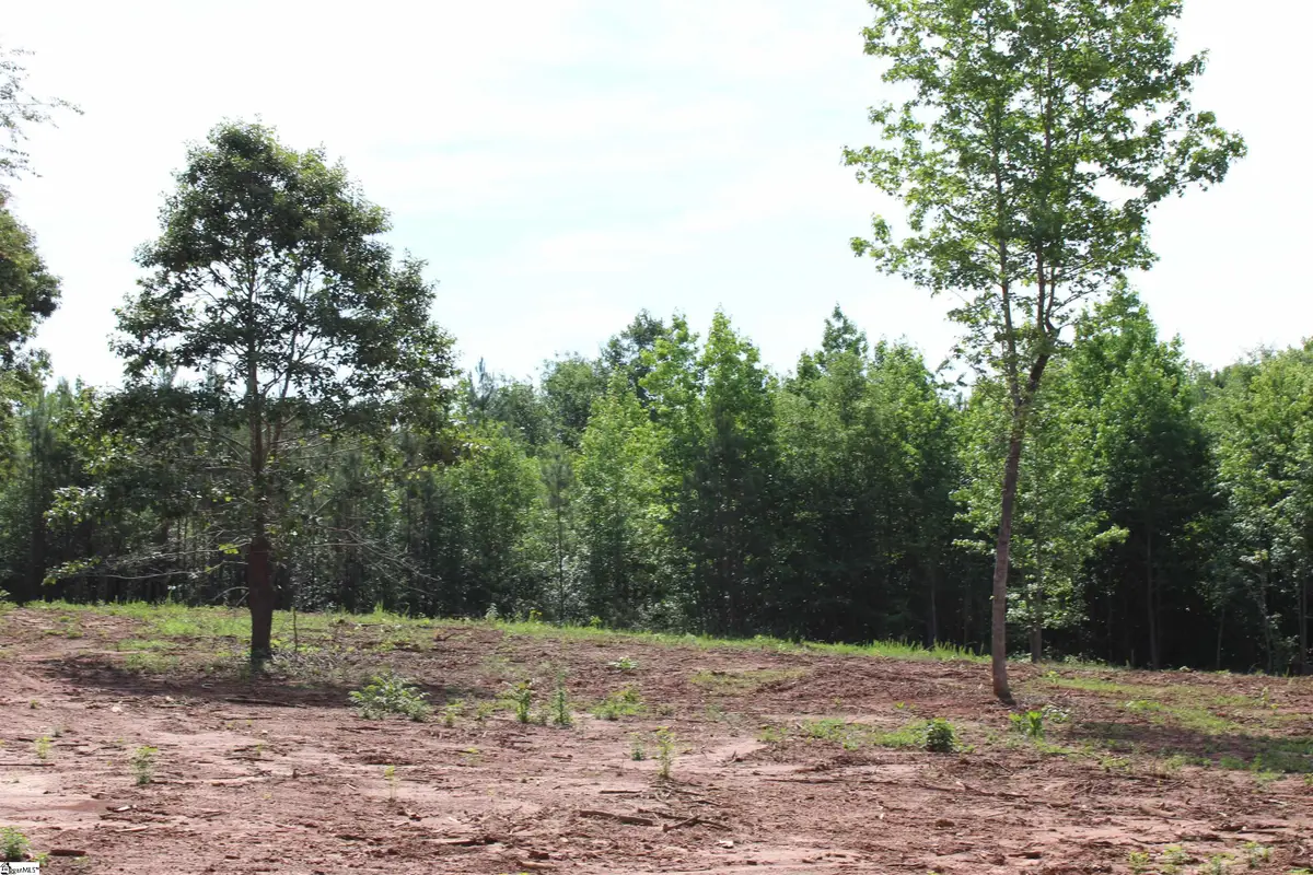 399 S Nelson Drive, Fountain Inn, SC 29644 - #1
