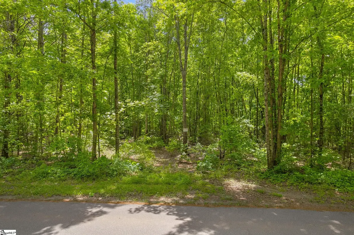 00 Erin Lane, Pickens, SC 29671 - #1