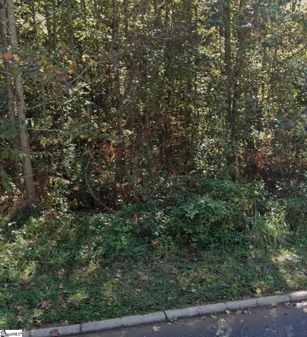 19 Daughtry Court, Travelers Rest, SC 29690