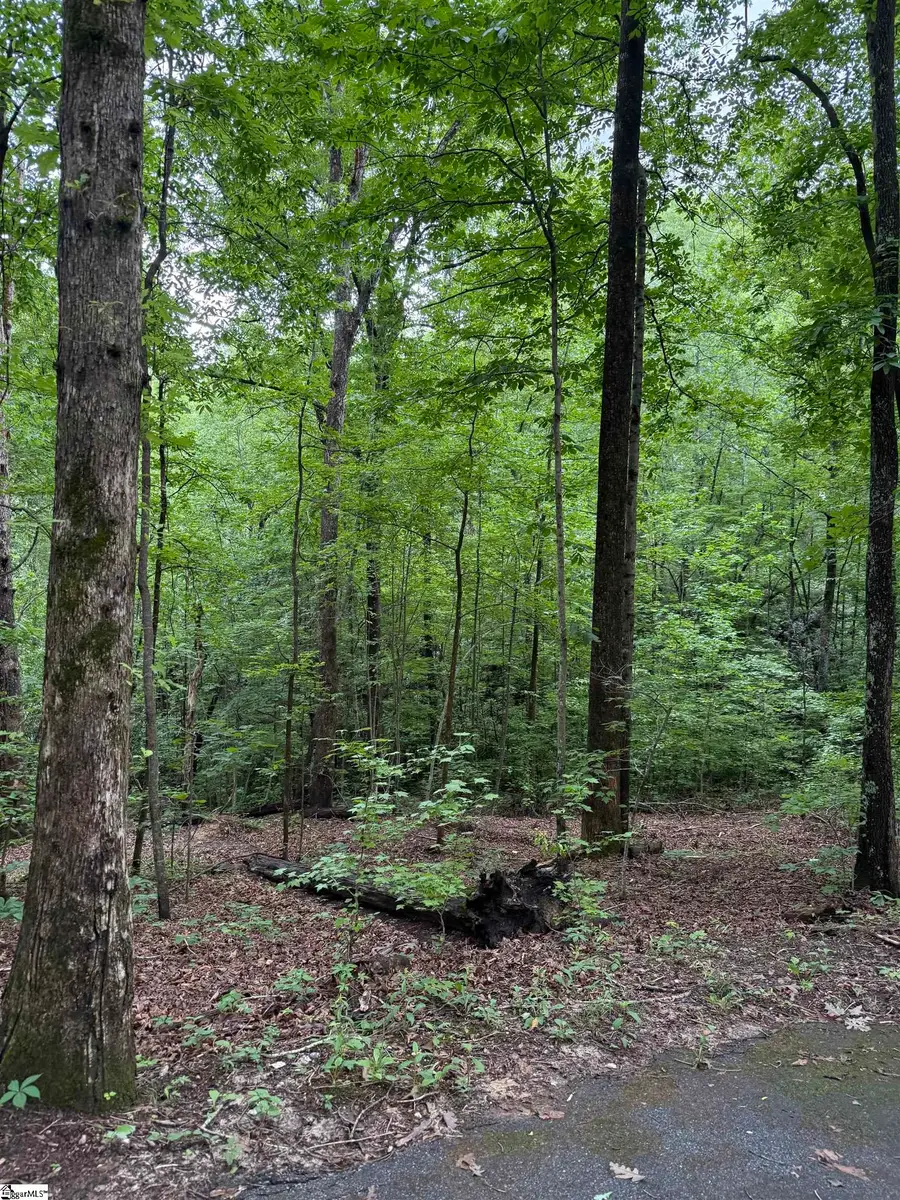 125 Cottage Side Trail, Travelers Rest, SC 29690 - #3