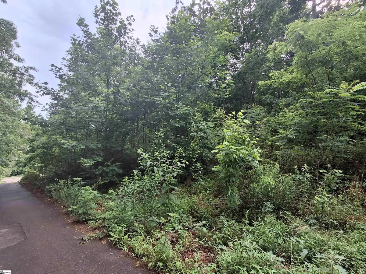 113 High Top Drive, Pickens, SC 29671 - #1