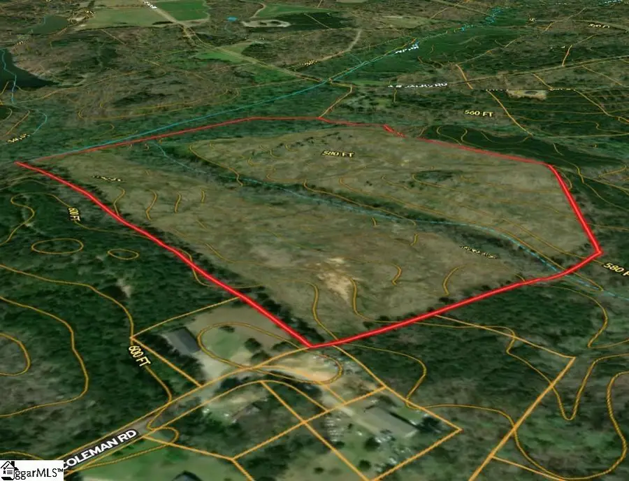00 Coleman Road, Clinton, SC 29325 - #2
