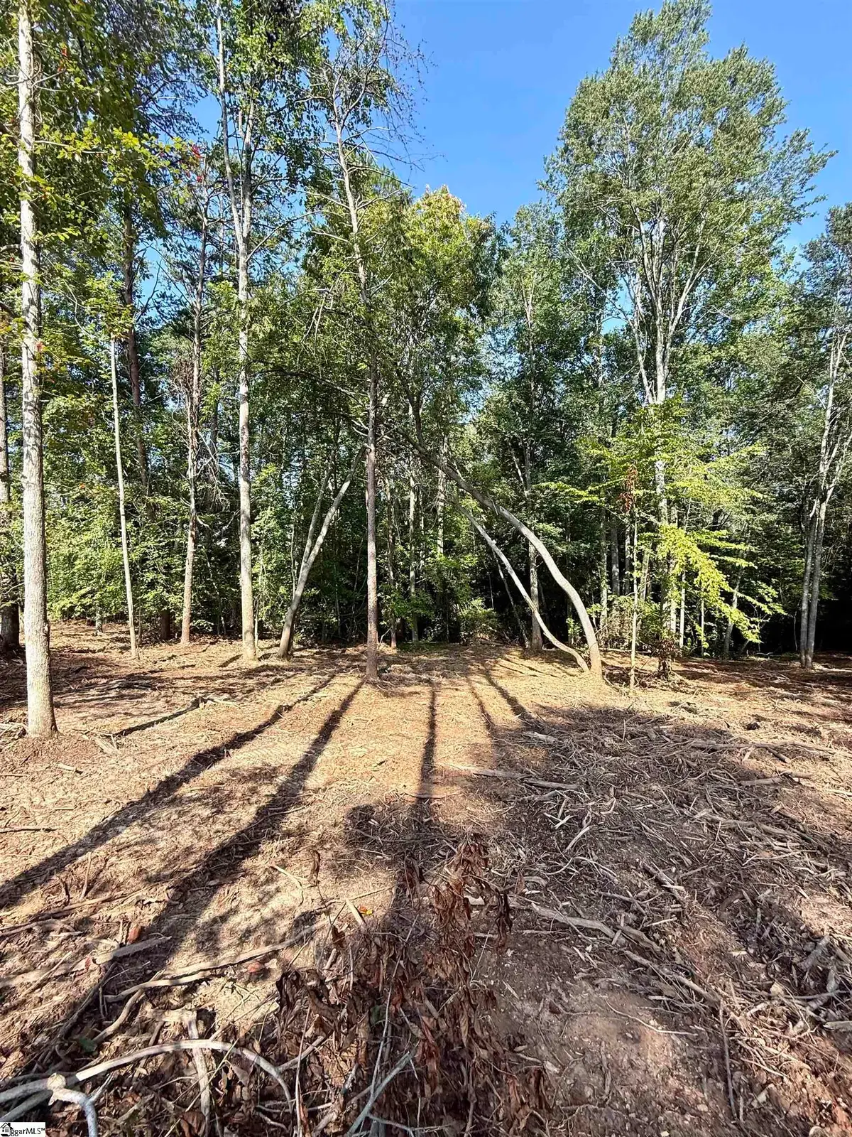 0 Thompson Road, Greer, SC 29651 - #1