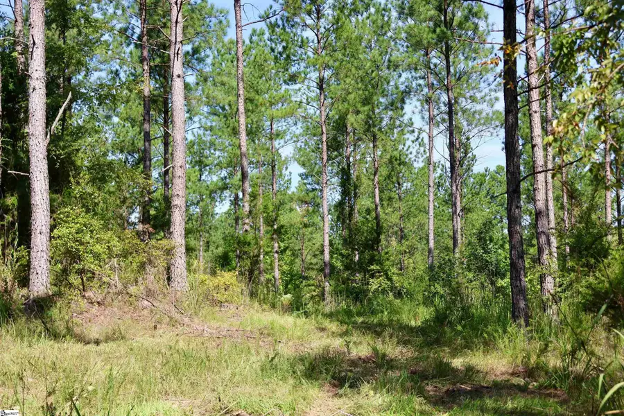 00 Fields Road #Lot 3, Pauline, SC 29374 - #2