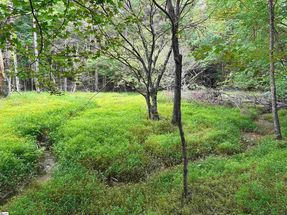 1087 Bobby Faucette Road, Jonesville, SC 29353 - #1