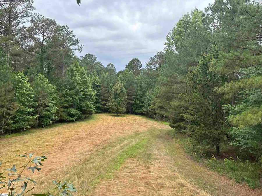 1087 Bobby Faucette Road, Jonesville, SC 29353 - #2