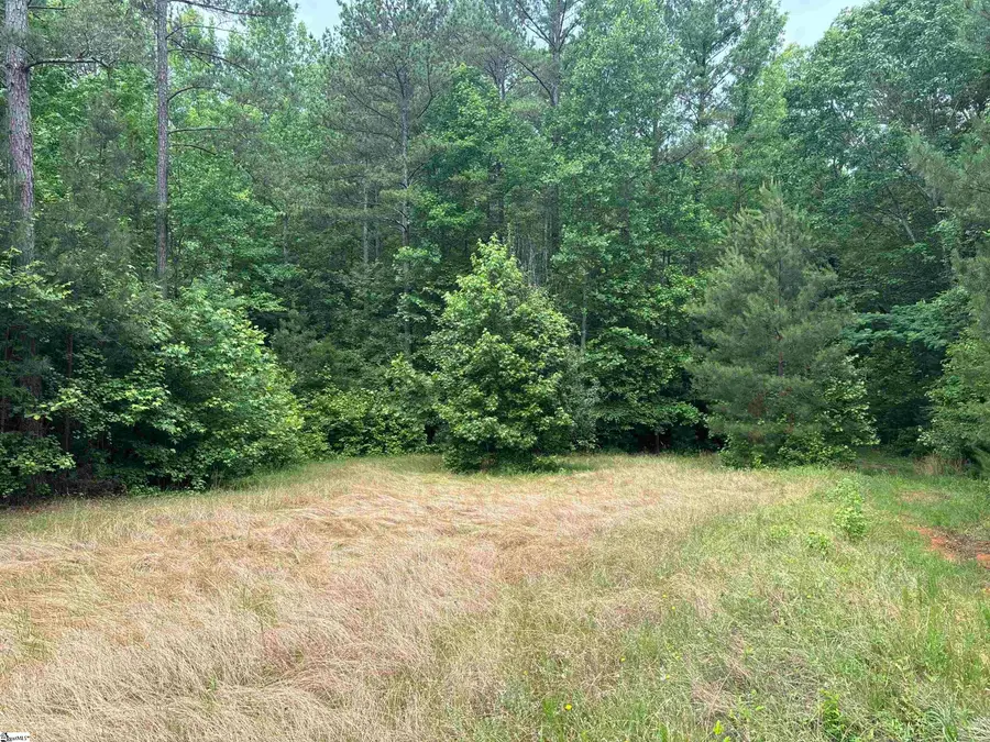 1087 Bobby Faucette Road, Jonesville, SC 29353 - #3