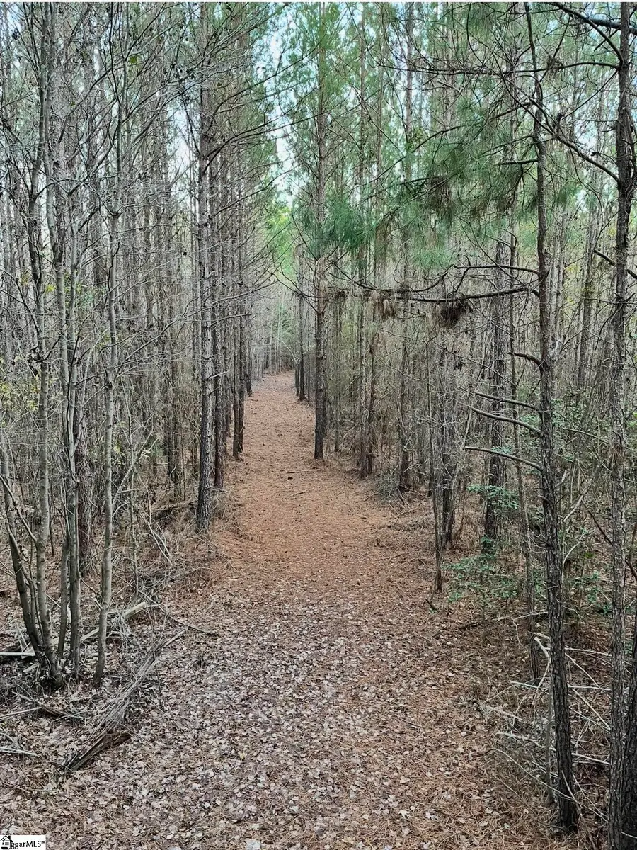 0 Simpson Mill Road, Laurens, SC 29360 - #3
