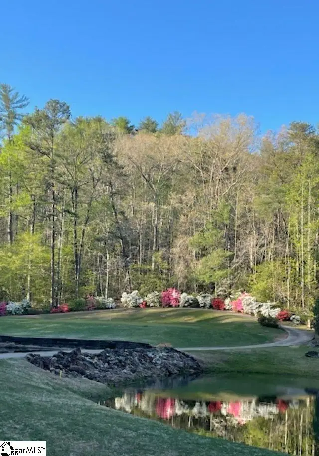 154 Broken Bow Run, Pickens, SC 29671 - #3
