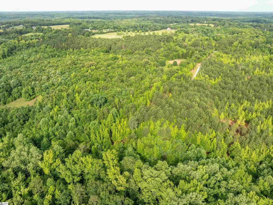 00 Terry Road #Lot 4, Fountain Inn, SC 29644 - #3