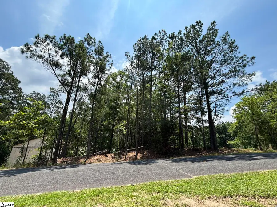 00 Serene Drive, Waterloo, SC 29384 - #2