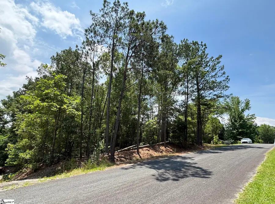 00 Serene Drive, Waterloo, SC 29384 - #3