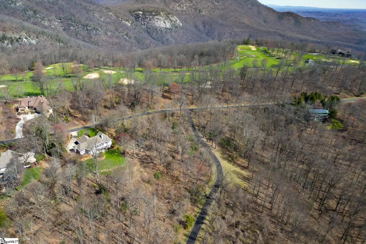 68 May Apple Way, Landrum, SC 29356 - #1