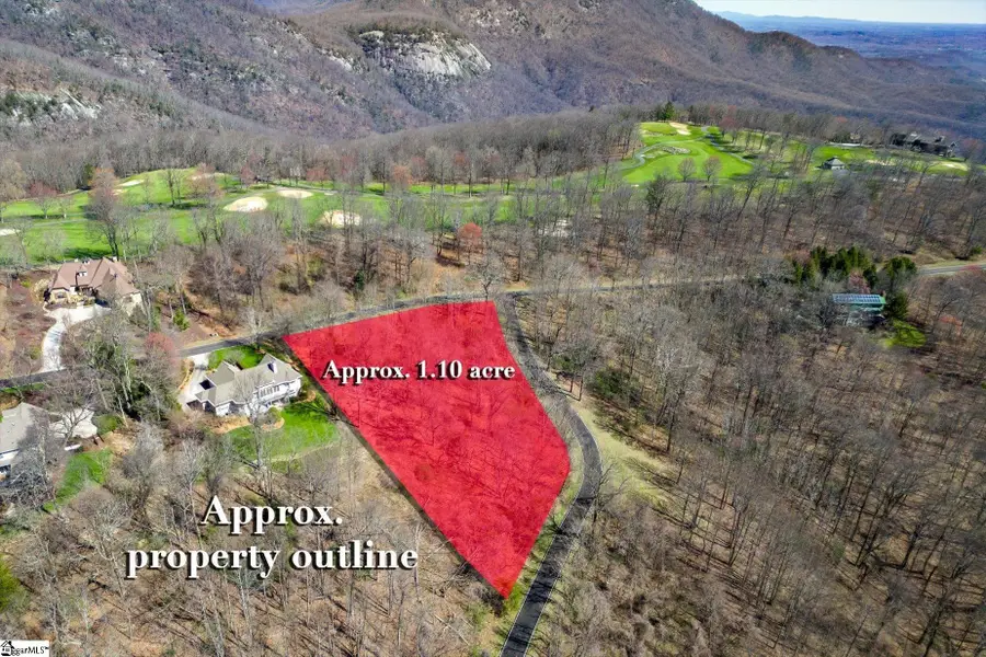 68 May Apple Way, Landrum, SC 29356 - #2